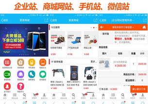 上海正規(guī)公司企業(yè)網站建設 600全包 送 域名