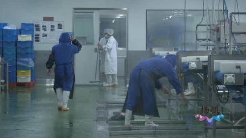 揚(yáng)州市市場監(jiān)督管理局 以“硬核監(jiān)管”與“周到服務(wù)”雙輪驅(qū)動，筑牢餐飲安全防線